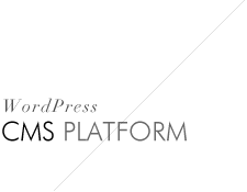 wordpress, cms Platform