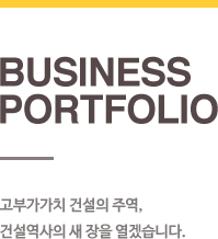 business portfolio